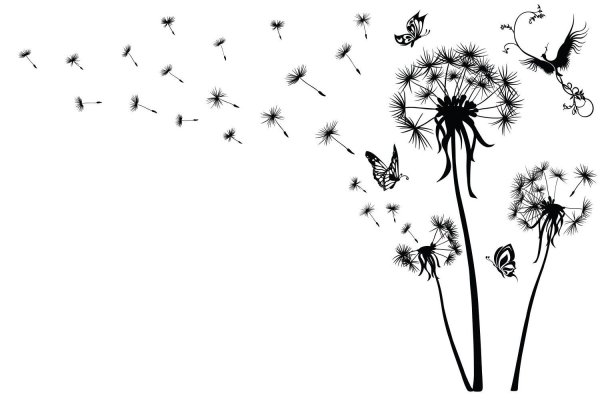 Одуванчик силуэт