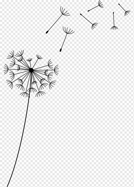 Пушинки одуванчика на прозрачном фоне