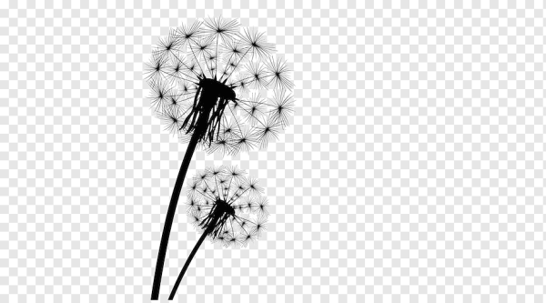 Одуванчик векторный