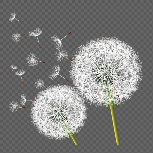 Парашютики одуванчика для фотошопа