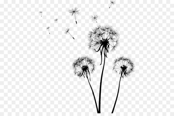 Белый одуванчик на белом фоне