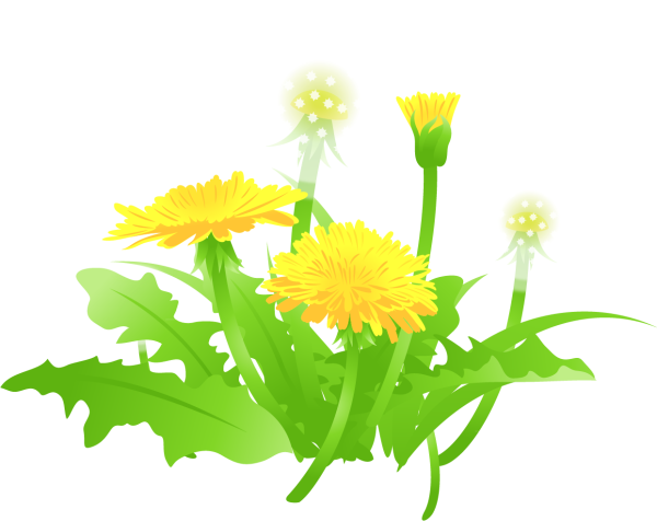 Одуванчики мультяшные