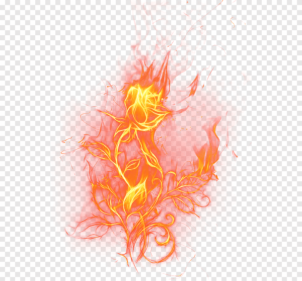 Огненный цветок