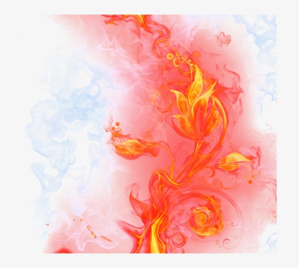 Огненный цветок на прозрачном фоне