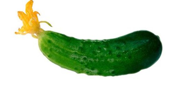 Огурец для детского сада