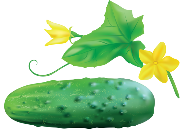 Огурец мультяшный