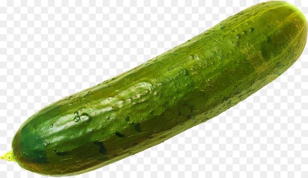 Кукумбер огурец