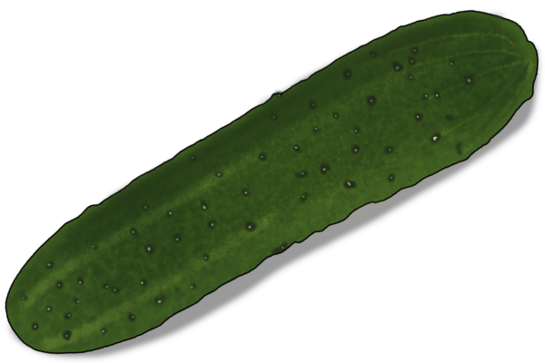 Зеленый огурец