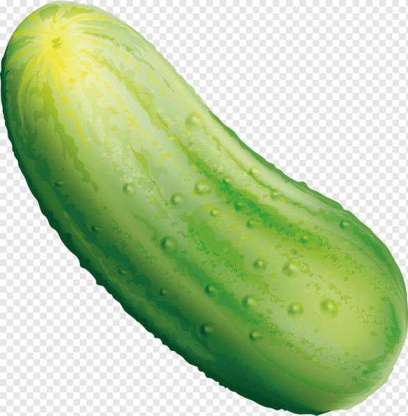 Зеленый огурец