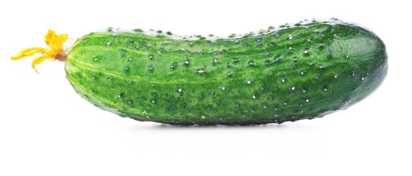 Огурец на прозрачном фоне