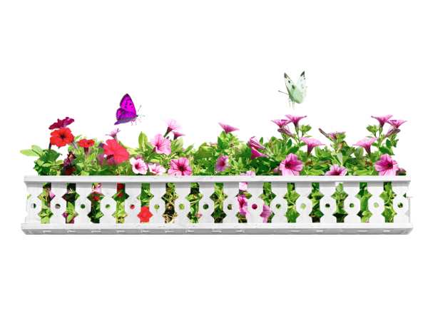 Бордюр цветы