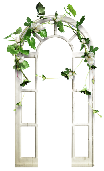 Оконная арка