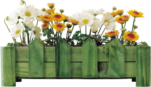 Кашпо с цветами на прозрачном фоне