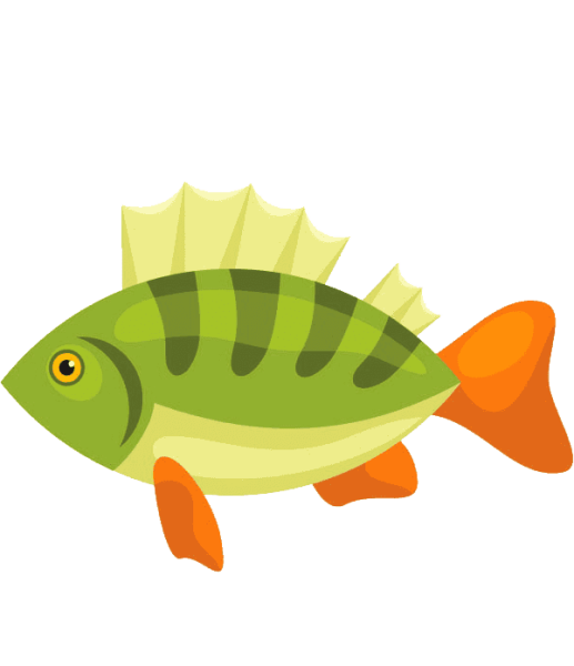 Окунь мультяшный