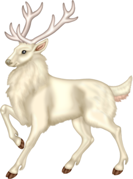 Северный олень на белом фоне