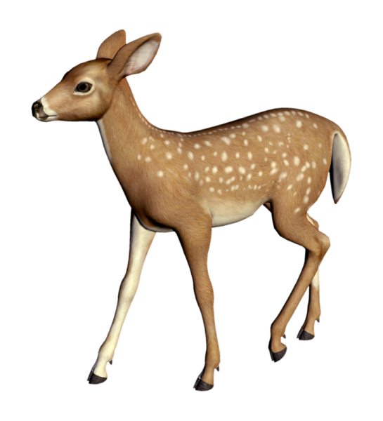 Олень картинка для детей на прозрачном фоне