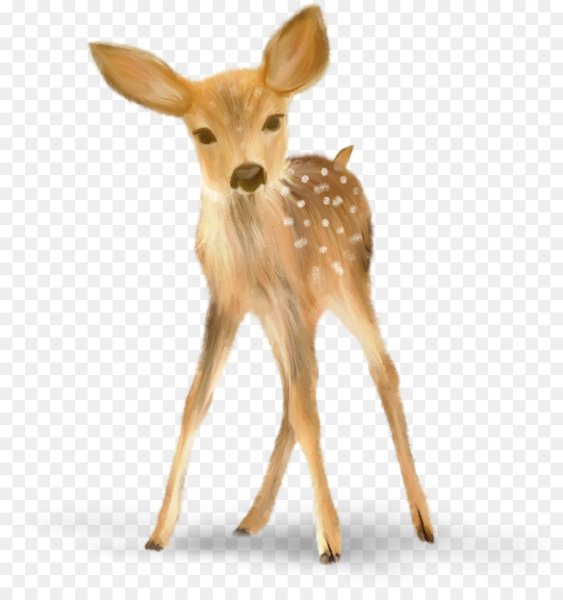 Олененок на прозрачном фоне