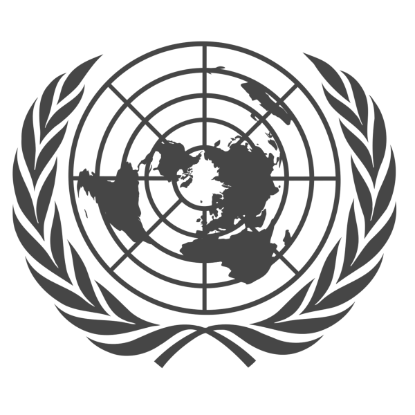 Организация Объединенных наций ООН