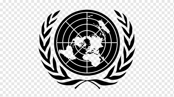 Совет безопасности ООН символ