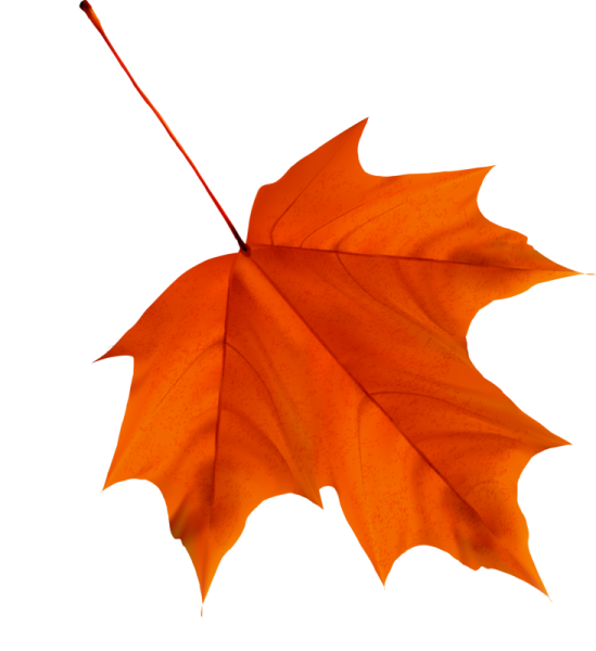 Осенние листья