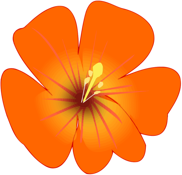 Оранжевый цветок для детей