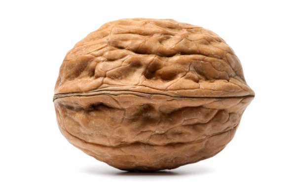 Твердый орешек