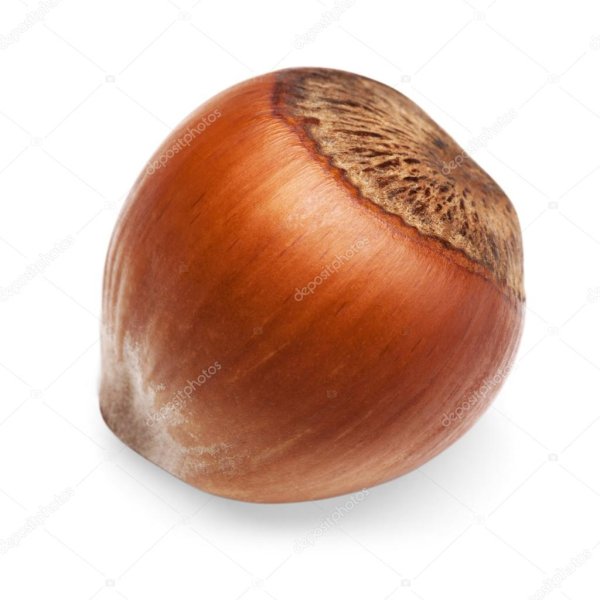 Орех фундук на белом фоне