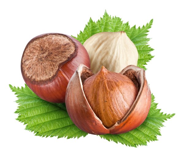 Орех фундук