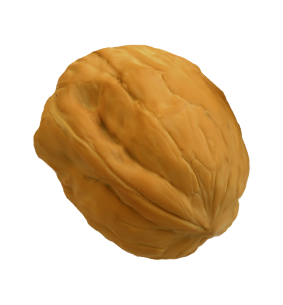 Орехи на прозрачном фоне