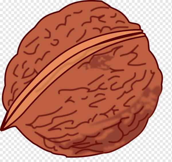 Орехи для дошкольников