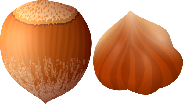 Орех фундук один