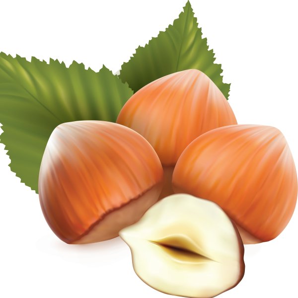 Орехи для дошкольников