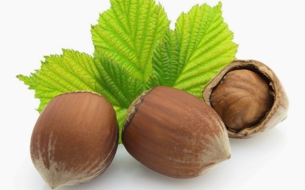 Орех фундук