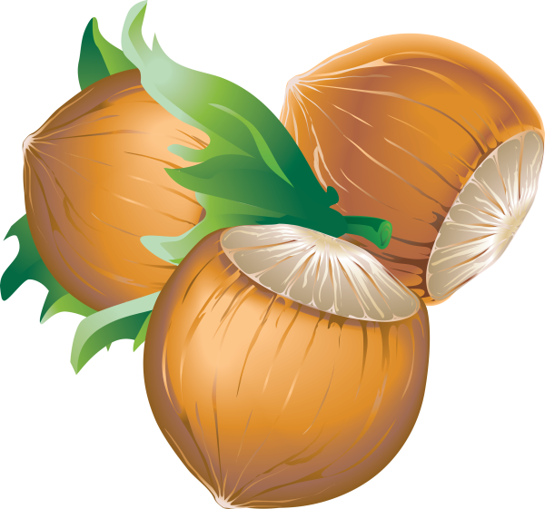 Орешки для детей