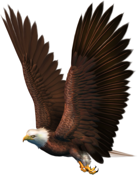 Орел в полете без фона