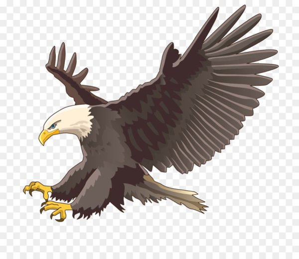 Нарисованный Орел на прозрачном фоне