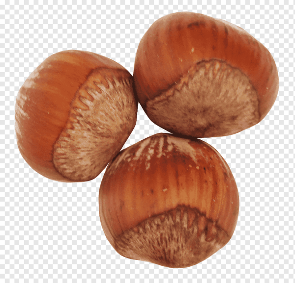 Лесной орех (Hazelnut)