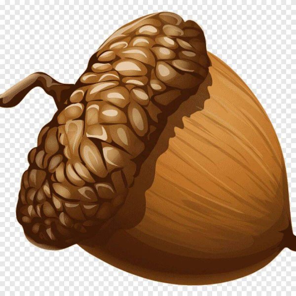 Желуди мультяшные