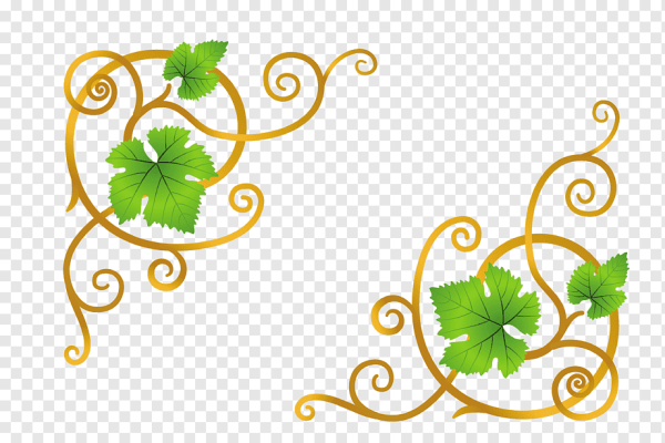 Орнамент из виноградной лозы