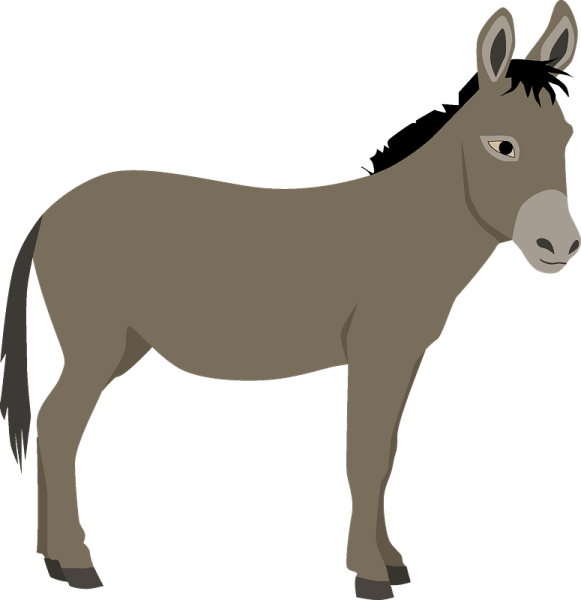Осел картинка для детей на прозрачном фоне