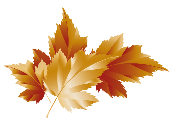 Листья на прозрачном фоне