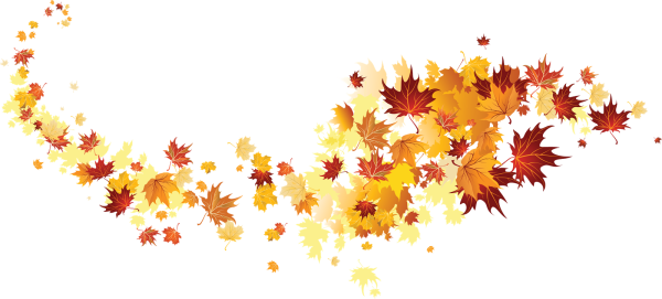 Осенние листья на прозрачном фоне