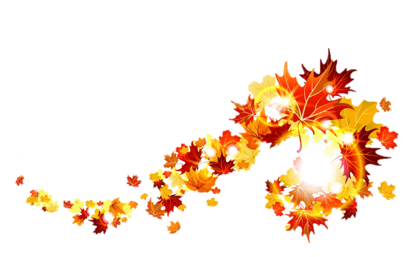 Осенняя листва на белом фоне