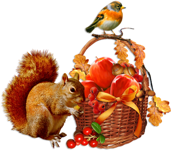 Осень клипарт