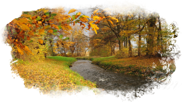 Осенний пейзаж на прозрачном фоне