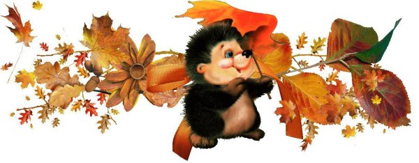 Соеньна прозрачном фоне