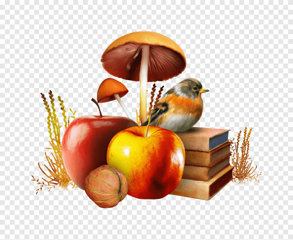 Натюрморт на прозрачном фоне