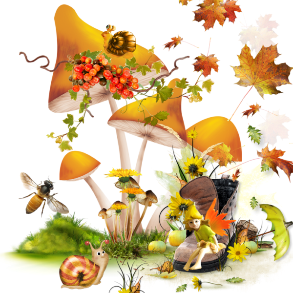 Элементы осени