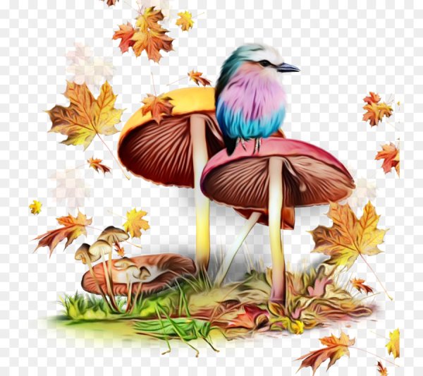 Осень на прозрачном фоне