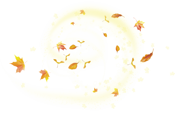 Падающие листья на прозрачном фоне